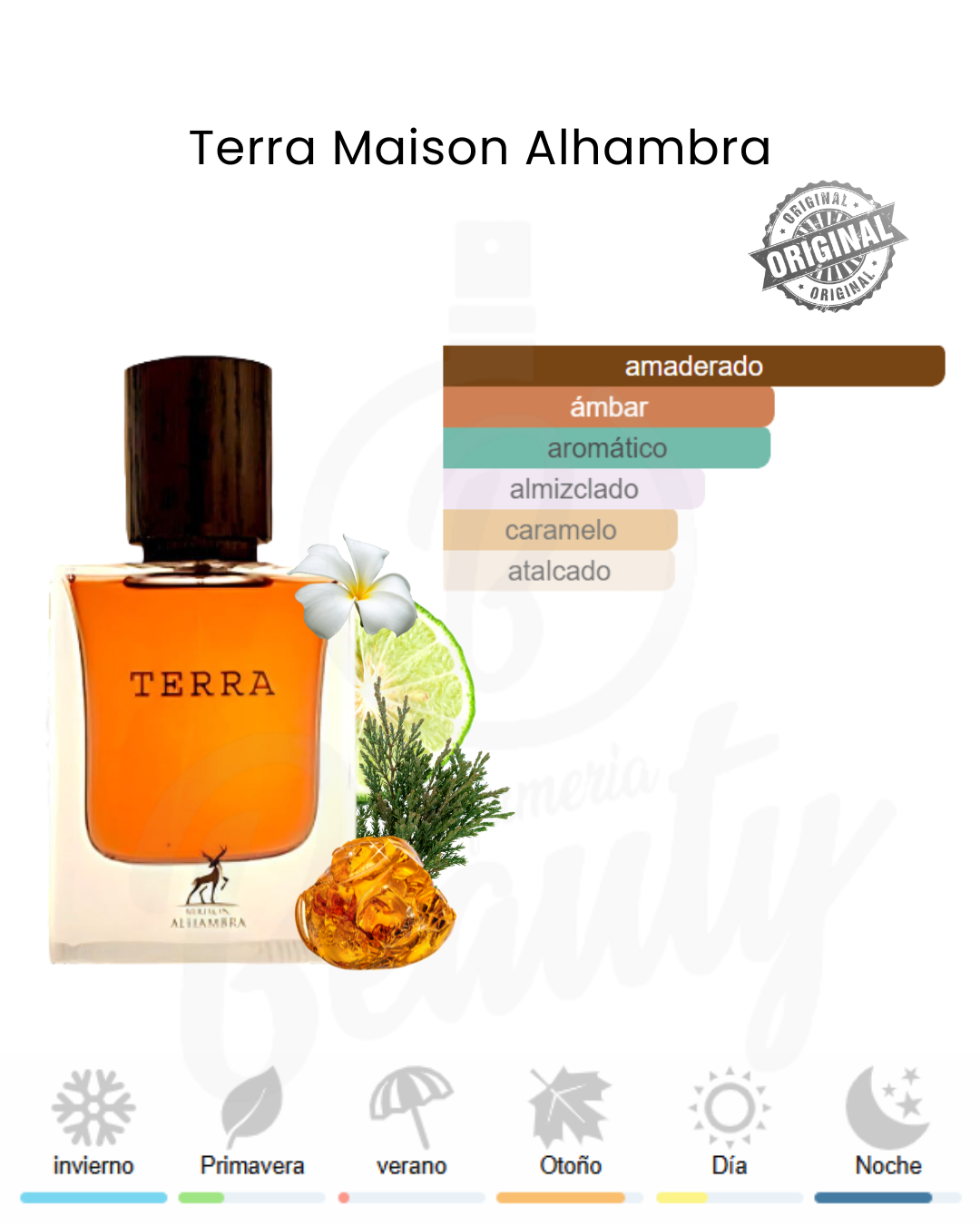 MAISON ALHAMBRA TERRA EDP 50ML (U)